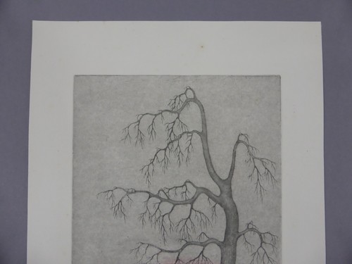 Irene Müller (1941 Gütersloh -) Radierung Baum in Landschaft 1979 (828) - Picture 3 of 7