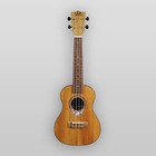 Puka Model PK-PHT Phoenix Rosette Natural Satin Finish Tenor Size Ukulele  