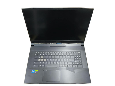 MSI Pulse 17 B13VFK 17,3  i7  RTX 4060 DEFEKT / ERSATZTEIL Ohne Ram Ohne SSD