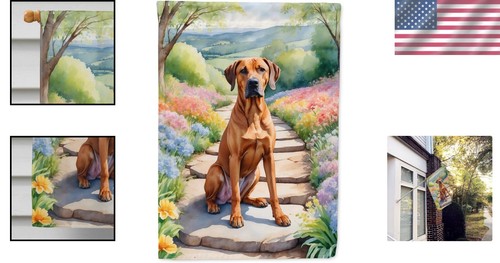 Vibrant Rhodesian Ridgeback Spring Path House Flag - Weather-Resistant 40” x 28” - Picture 2 of 9