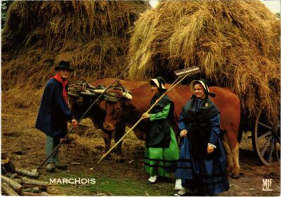 CPM Folklore La Chapelle-Baloue Les Compagnons de la Marche (1274105)