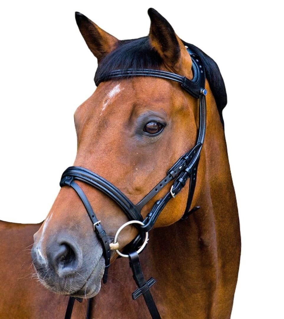 Stubben Freedom Ergomomic Bridle