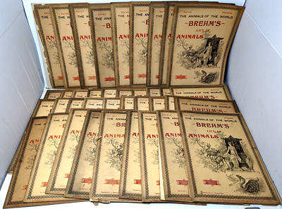 #ad Antique 1896 Animals of the World Brehm#x27;s Life of Animals Mammalia 1 38 Set JS23 $686.37