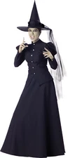 Wicked Witch Adult Womens Costume Gown Wizard of Oz Elite Collection Halloween