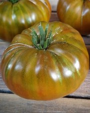 POMODORO DA CARNE RUSSO SCIROPPO D'ACERO - SCIROPPO D'ACERO 5+ semi P 630