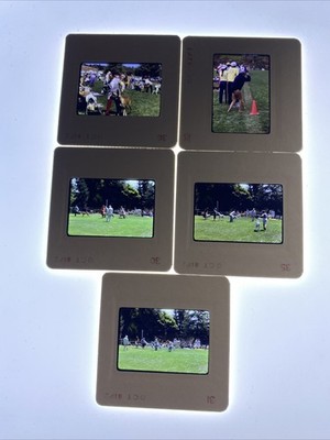 VTG 35MM SLIDES LOT OF 5 SANTA CRUZ CA 1981 FANCY DOG SHOW AND CROWD WATCHING