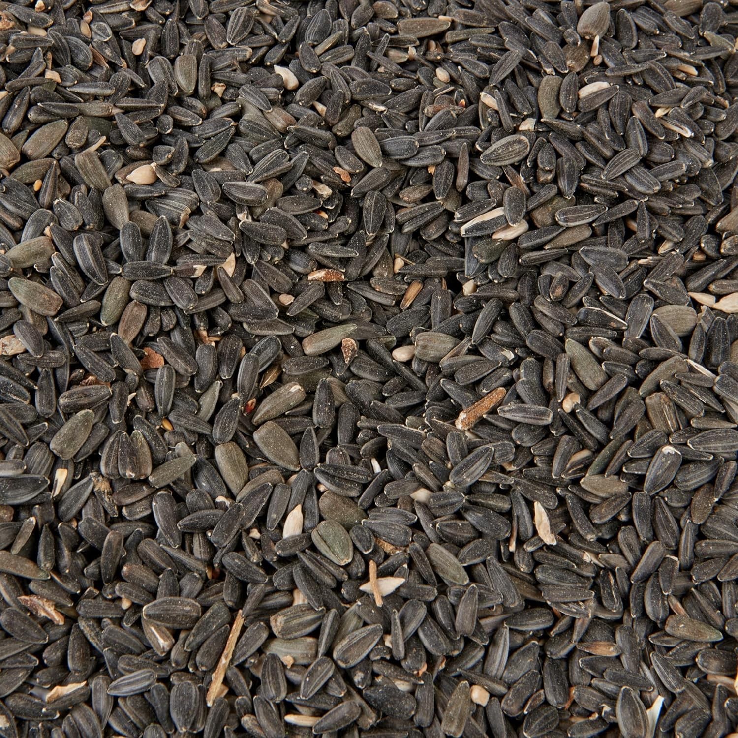 Wild Bird Food 2kg Black Sunflower Seeds – High Energy Protein Garden Bird Feed