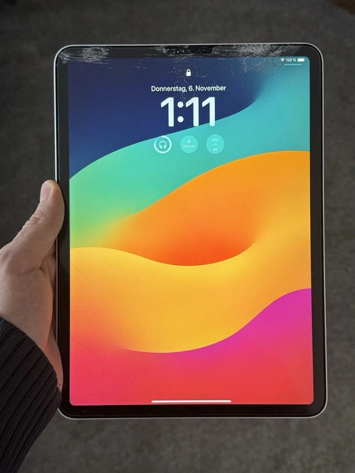 Apple iPad Pro 1. Gen 256GB, Wi-Fi, 11 Zoll - Space Grau