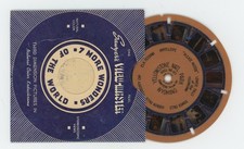 Yellowstone National Park Wyoming 1939 Blue Ring Circle View-Master Reel 127