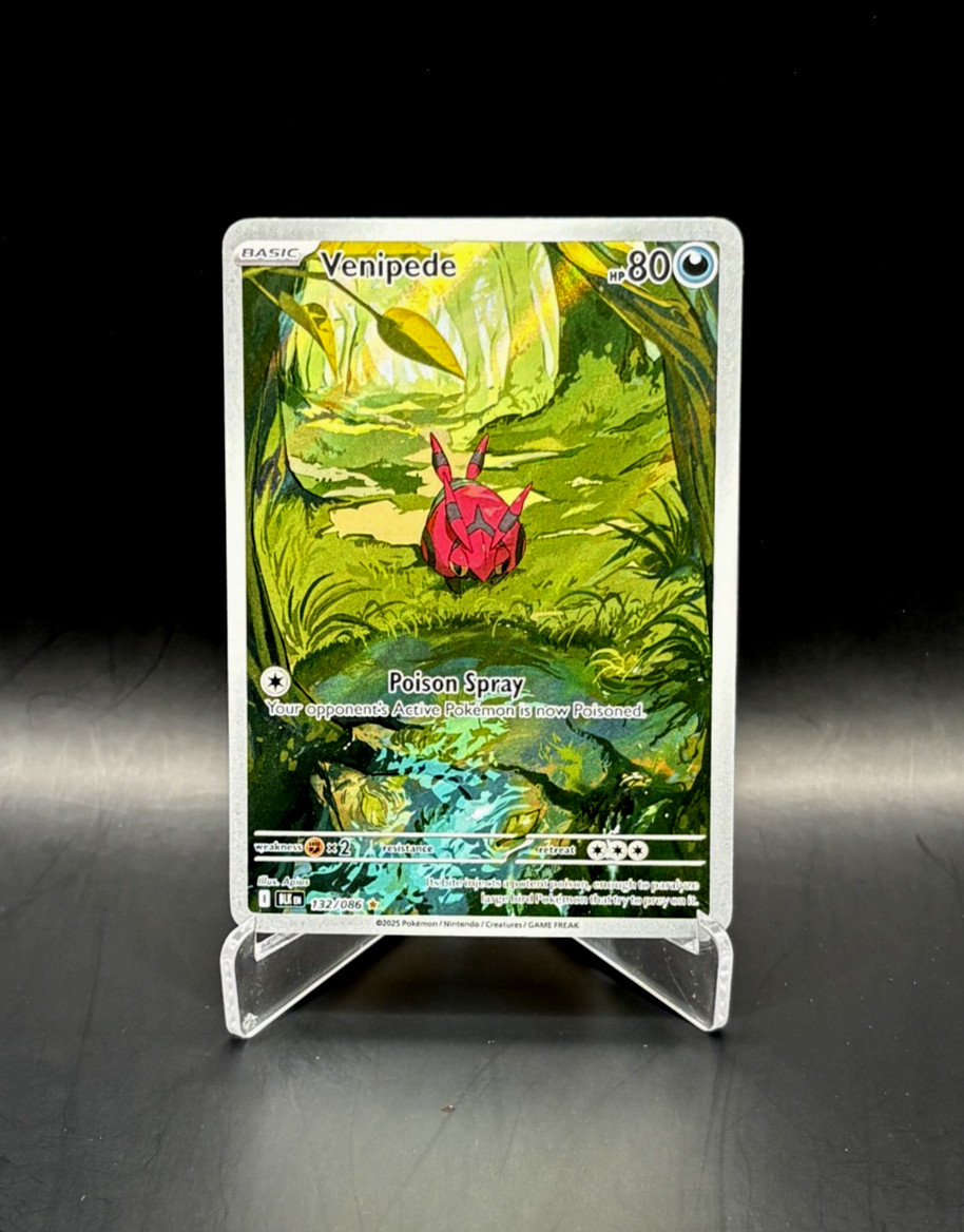 Pokémon TCG Venipede Sv: Black Bolt Holo 132/086 NM