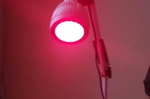 PAR30 40 Watt LED Light Bulb-Deep Red ( 4 units ) - Picture 10 of 11