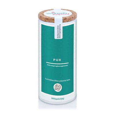 WUNSCHKAPSEL Lactobacillus plantarum Pur, 10 Milliarden (1 x 10^10) KbE - 290 Kapseln