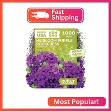 1,000 Purple Rock Cress Heirloom Flower Seeds, Aubrieta Deltoidea