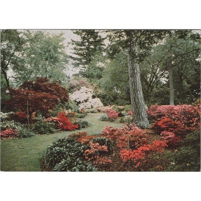 Postkarte The Royal Horticultural Society's Garden Wisley Surrey 1978