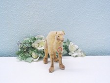 Early STEIFF DROMADARY, 14 cm with all ID's