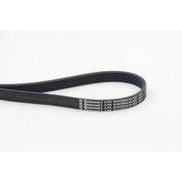 Continental Ctam 6PK1019 Elast Keilrippenriemen