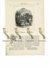 Stoke (Pogeis, Pogis) Poges, Bucks, Book Illustration (Print), 1891