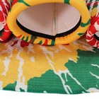 Bild 12 von 12