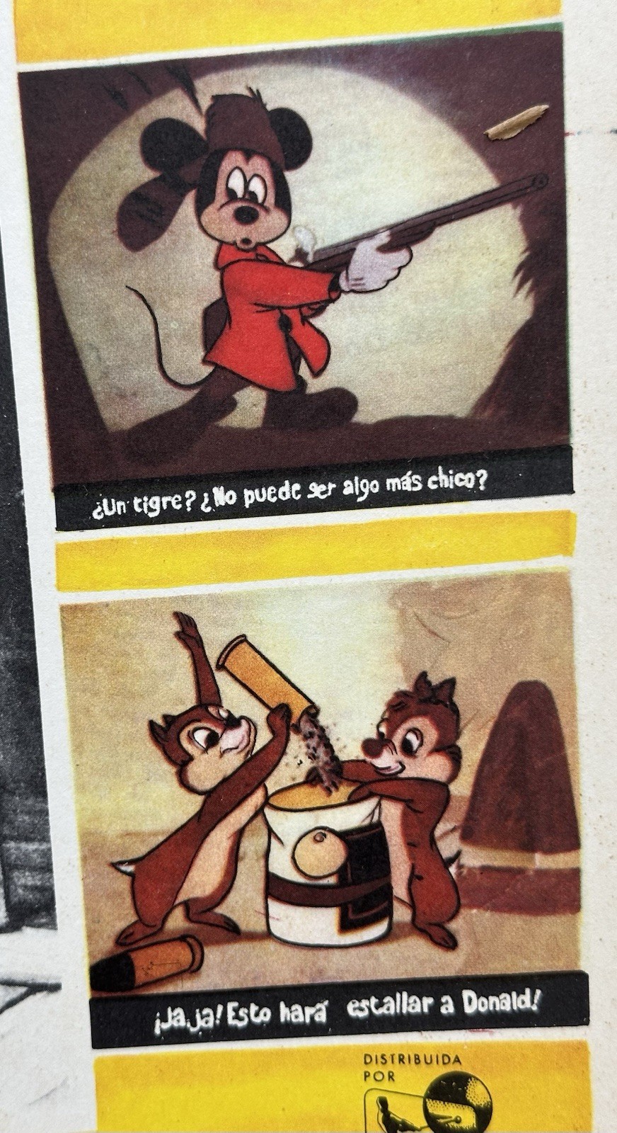 THE HUNTING INSTINT DONALD DUCK WALT DISNEY MEXICAN LOBBY CARD SET 1961 UNUSED