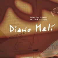 Ludovico Einaudi - Diario Mali - Vinyl Record - F99Z