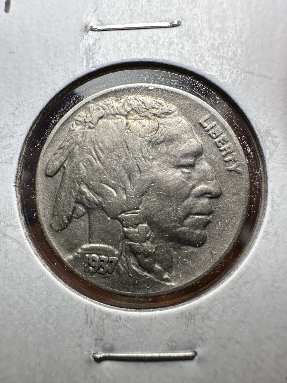 Picture 12 of 17