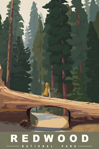 Redwood National Park of The USA Vintage Travel Posters Wall Art Print - Picture 36 of 42