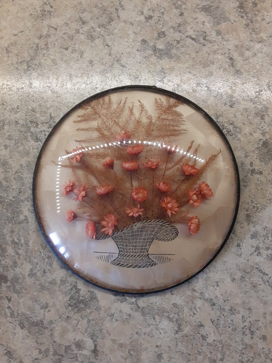 MCM Dried Flowers & Leaves Round Domed Wall Decor 4.5