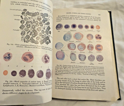 VG+ Human Anatomy and Physiology Millard King 1948 Antique Medical Book Illustra - Picture 17 of 18