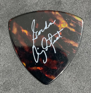 Gordon Lightfoot Tortoise Logo Signature Guitar Pick