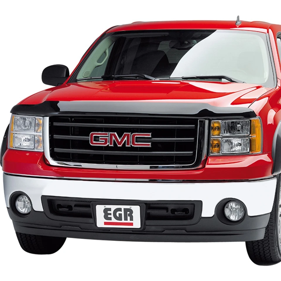 392851 EGR Bug Shield for Ram Truck 3500 2500 Dodge 2010 - Image 3 of 4