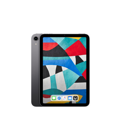 Apple iPad mini 6 2021 (8,3'') 64 GB Wi-Fi - Space Grau |PG2847-A(+)| #Neuwertig