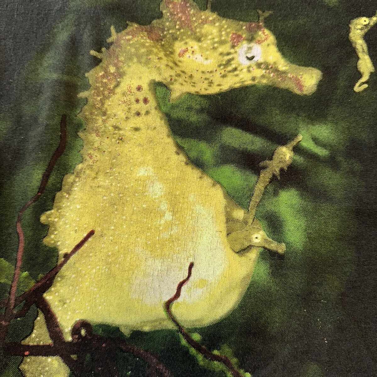 Vintage Nirvana Seahorse T Shirt XL Grunge Kurt Cobain Giant Vintage Nirvana Seahorse T Shirt XL Grunge Kurt Cobain Giant