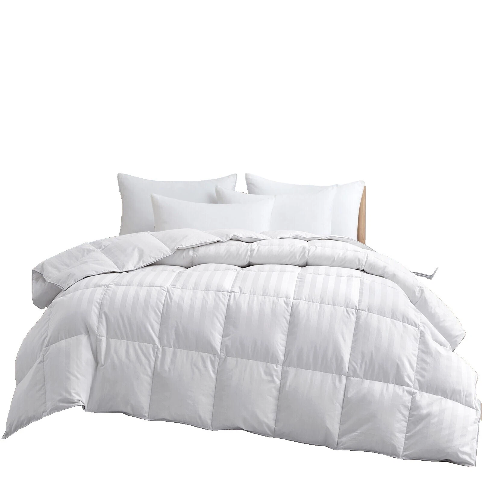 Ropa de cama de algodón egipcio Scala