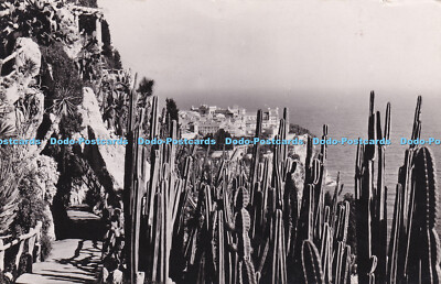 R384961 Jardin Exotique de Monaco Vue sur Monaco Cereus marginatus et divers Edi