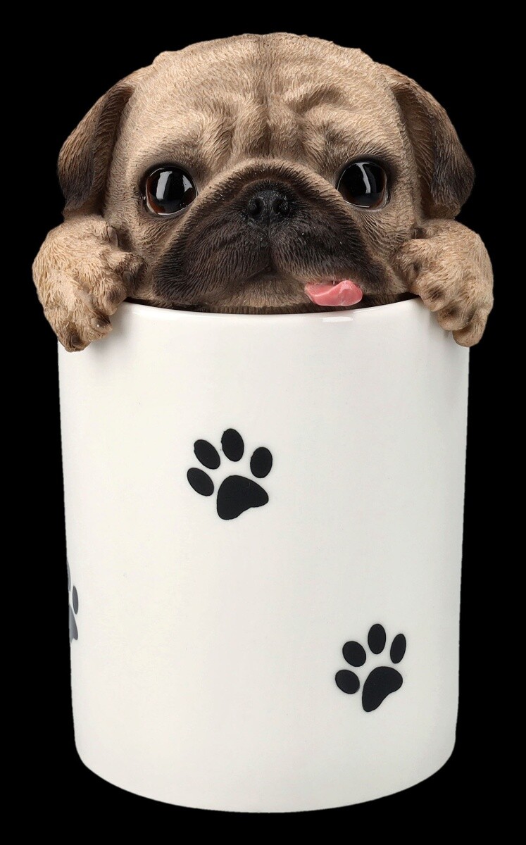 Premios Lata Perros - Fregonas - Tierdekoration Decoración Caja de la