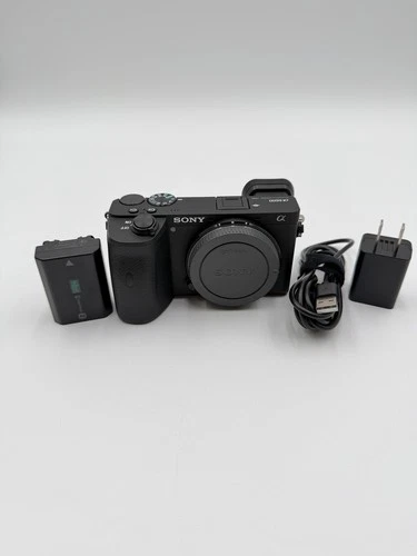 Sony Alpha a6600 24.2MP Mirrorless Camera (Body Only) * Low Use! * USA Model
