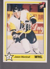 Major Minor League CHL OHL WHL LHJMQ ECHL Cards Inserts Rookies Collection (1/2)