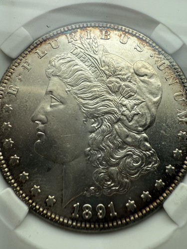 1891-S Silver Morgan $1 MS65 Key date Toner Toned See For Yourself Accurate - Picture 7 of 11