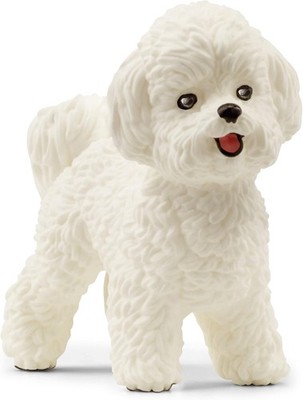 SCHLEICH Farm World | Bichon Frisé 13963 Bauernhof Spiel-Figur, Spielzeug Kinder
