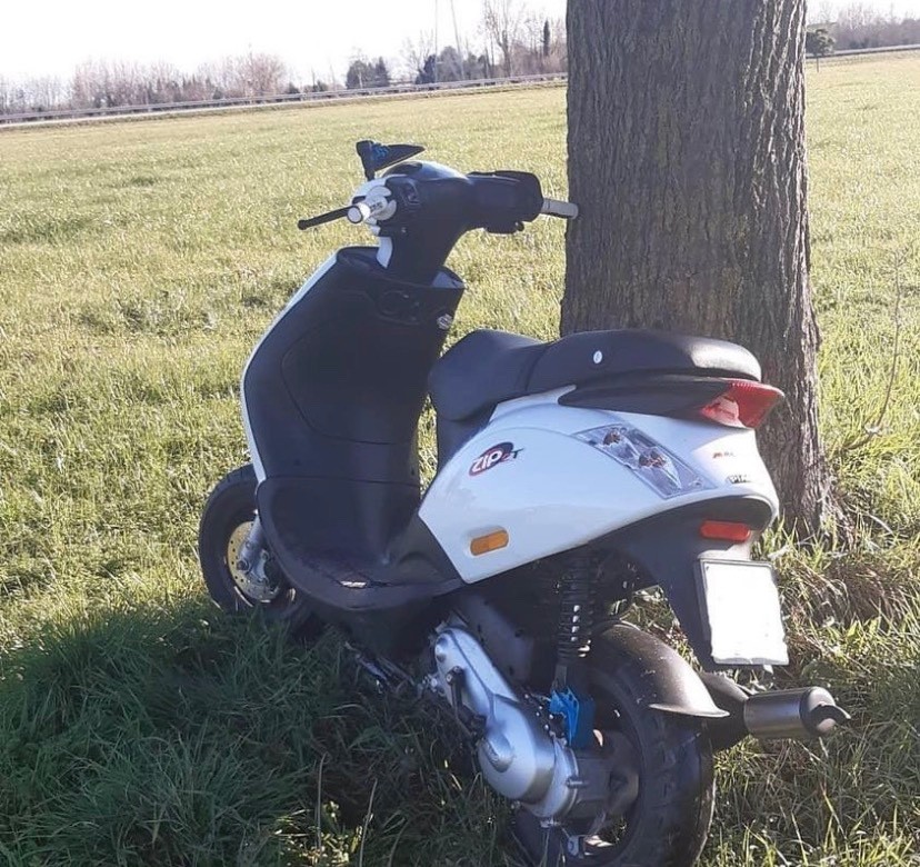 Zip 50 2t, Piaggio, bianco, usato