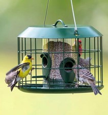 Kingsyard Bluebird Feeders for Outdoors Hanging, All Metal, Cage Bird Feeder NEW