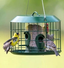 Kingsyard Bluebird Feeders for Outdoors Hanging, All Metal, Cage Bird Feeder NEW