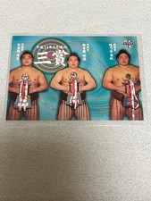 BBM 2002 98 Asashoryu Ami Nishiki Takanowaka Sumo Card March 2014 Place 3 Prize