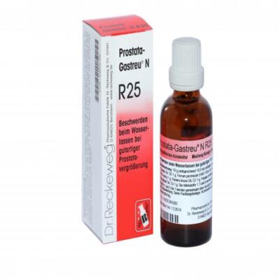 PROSTATA-GASTREU N R25 Mischung 22 ml PZN 4855744