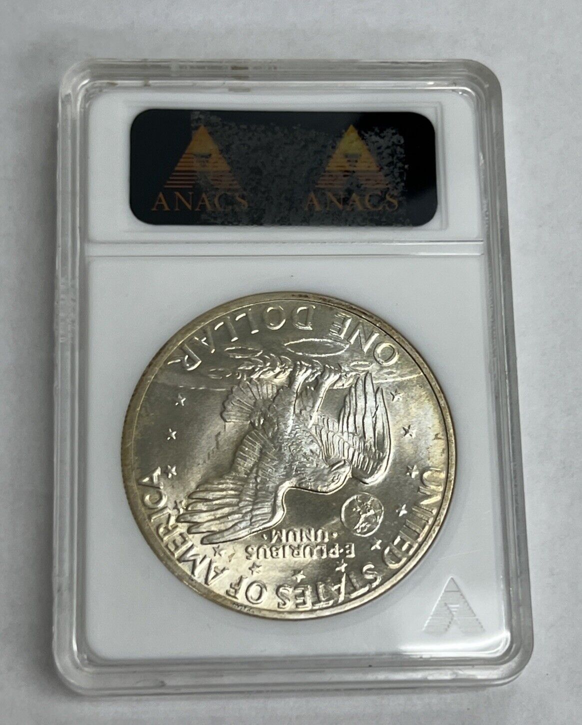 Picture 5 of 6