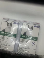 Elanco Advantage For Large Cats, 2 Doses