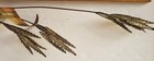 VINTAGE TORCH HAMMERED BRASS JERE STYLE 3D WALL ART, WHEAT STALKS MID-CENTURY — photo 4