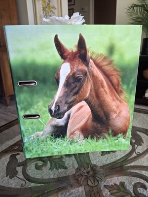 Foal Two Ring Binder 3'' Binder Horses Colt Filly 4-H Country Farmhouse 