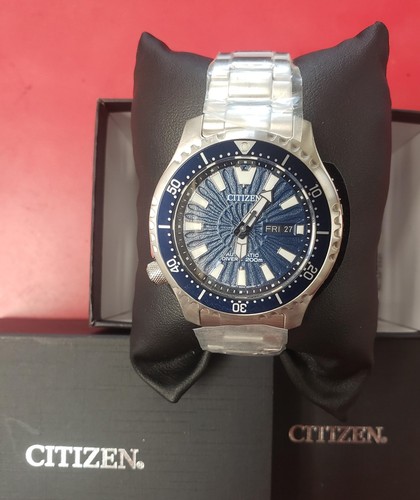 CITIZEN PROMASTER Fugu Pufferfish Diver's 200m Automatic 8204 A10d405