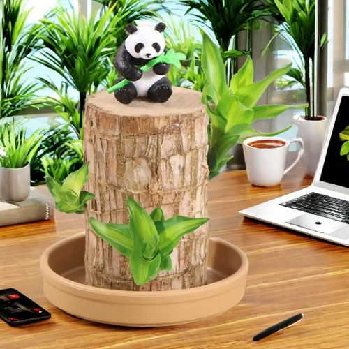 Brazilian Lucky Wood Hydroponic Plant W/ Nutrient Solution Base & Panda Ornament - Picture 12 of 12